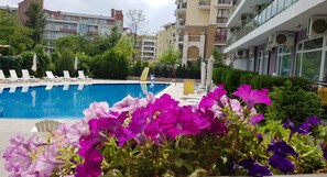 Alberca al aire libre y camastros 
