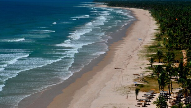 A beach with a long stretch of sand, a few palm trees, and a clear view of the ocean.