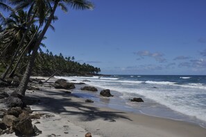 Playa en los alrededores y camastros 