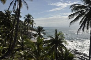 Playa en los alrededores y camastros 