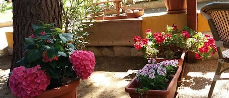 Un jardín con plantas en macetas y una banca.