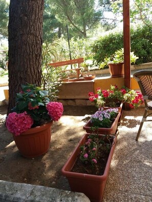 Property grounds - VILLA BILOCALE ORCHIDEA B 1 bedroom, living room with 2 beds and kitchenette (Vieste)