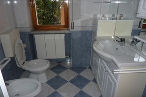 Shower, hair dryer, bidet, towels