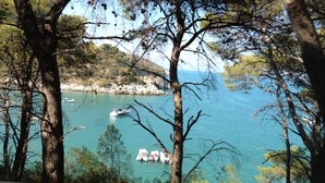 Vista costera con un barco amarrado cerca de la orilla, rodeado de árboles y un cielo despejado.