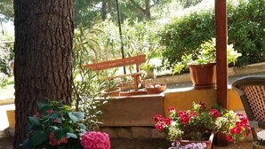Un jardín con plantas en macetas y una banca.