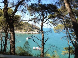 الإطلالة من المنشأة