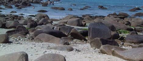 Playa en los alrededores y camastros
