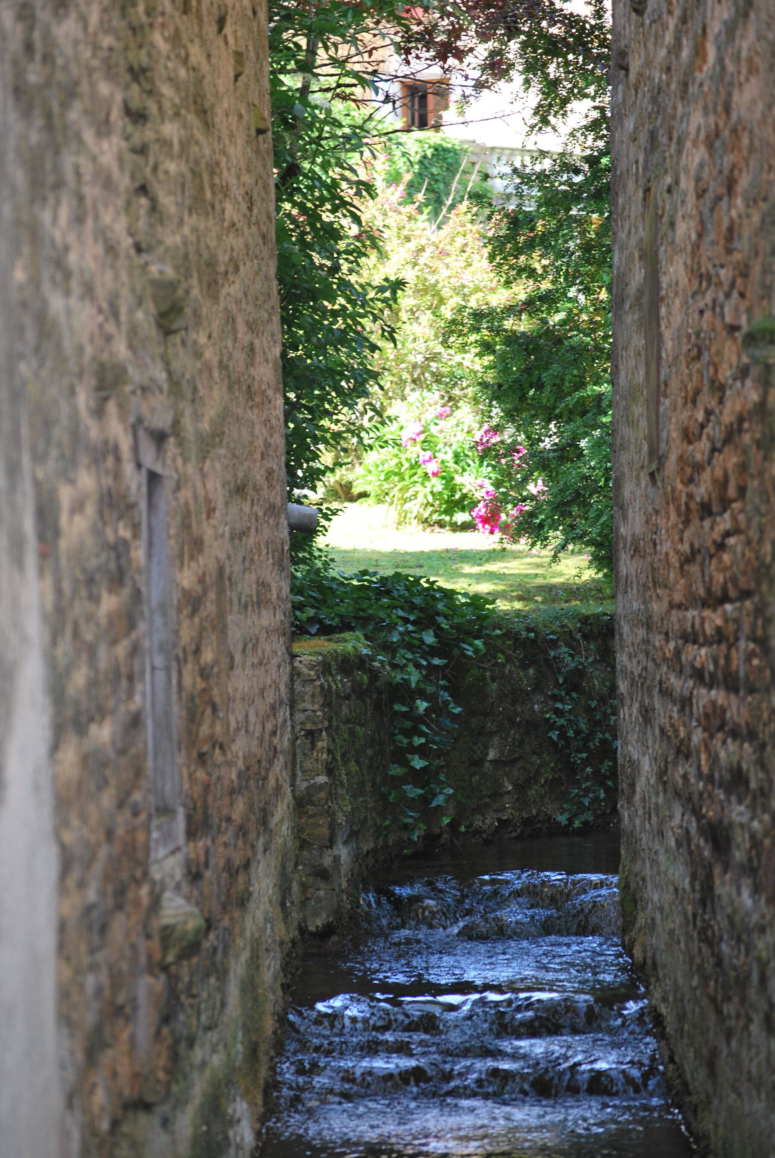 A narrow stone pathway leading through a garden with a small stream.