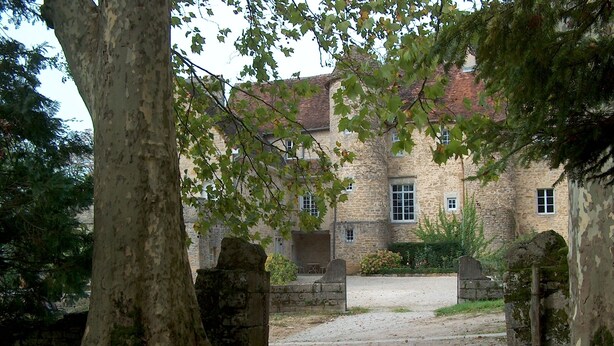 A stone building with a gravel driveway and a large tree in the foreground. - Landmarked stone house by a stream with extraordinary charm (Frontenay)