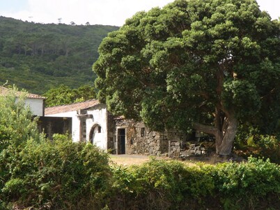 Country Cottage - Cedros, typical Azorien Big House with garden and seaview