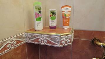 Hair dryer, towels, shampoo, toilet paper