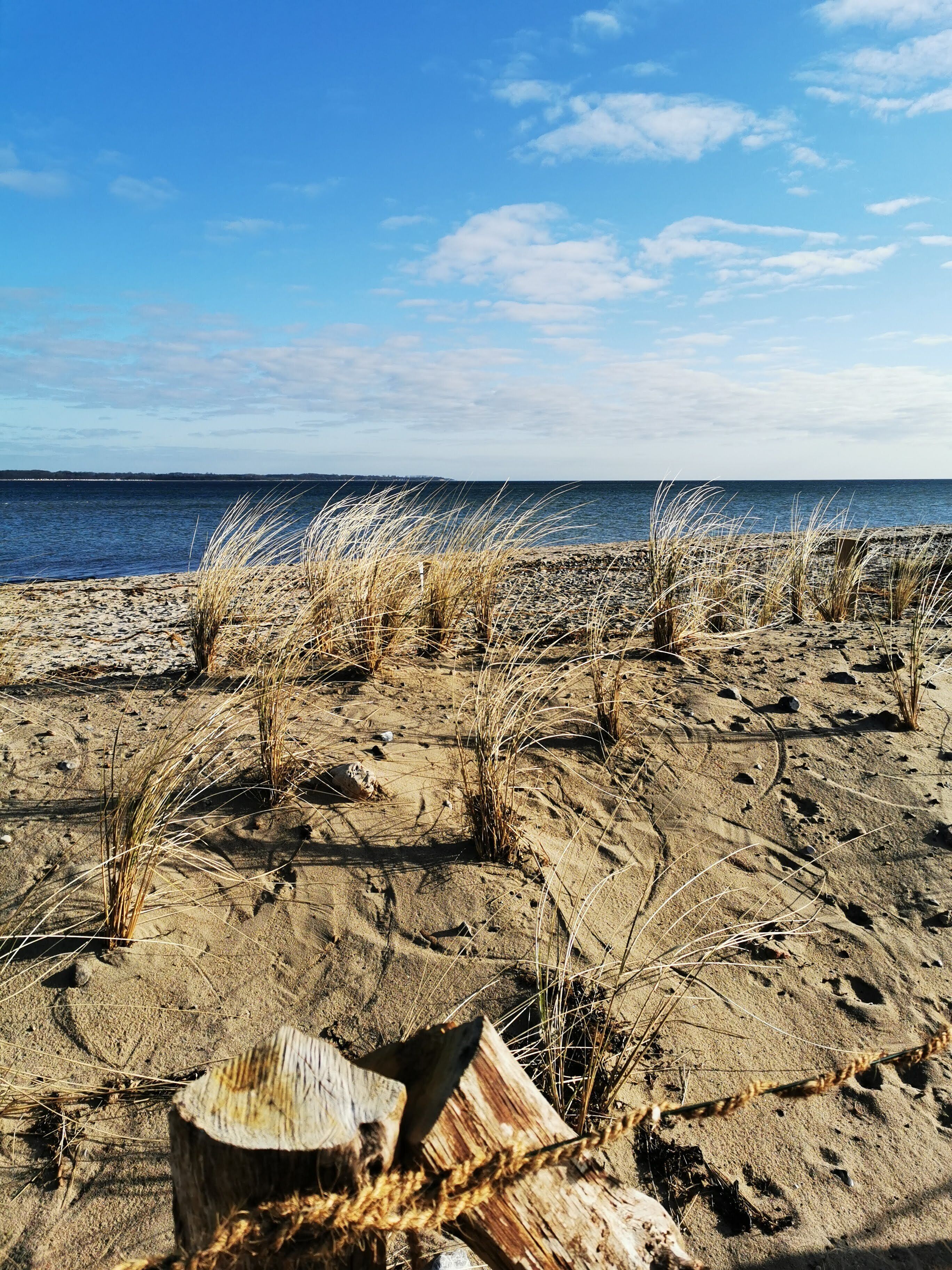 Ranta