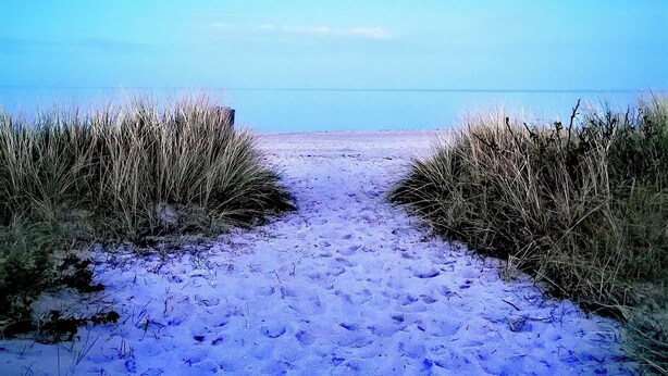 A sandy beach path leading to the ocean with sparse vegetation on either side.