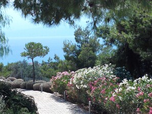 Une des vues sur la mer à travers le jardin...