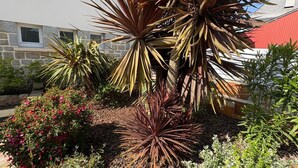 A garden with various plants and a stone building in the background.