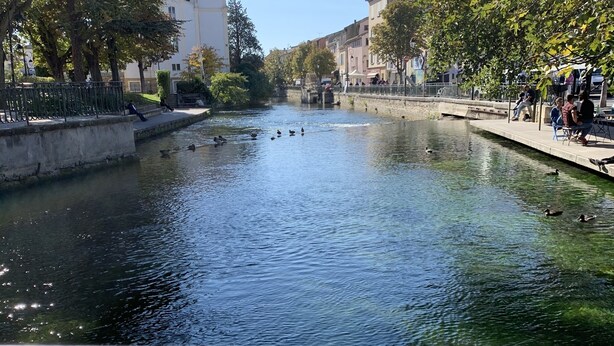 A canal with ducks swimming, surrounded by trees and buildings. -  Villa for 8 persons with a brand new pool, large garden area, close to the Isle (L'isle-Sur-La-Sorgue)