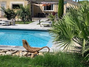 Piscine chauffée