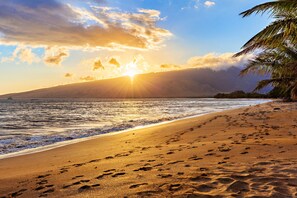 A beach with footprints leading to the water, a palm tree, and a sunset in the background.