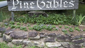 A wooden sign with the text "Pine Cables" surrounded by a stone wall and greenery. - Historic one bedroom log cabin (Lake Lure)