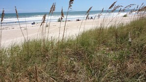 A beach with tall grasses in the foreground, a sandy shore, and the ocean in the background. - Private Beach House Oasis! Heated Pool, Tiki hut, Ocean few houses away (Cape Canaveral)