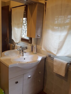 Shower, hair dryer, bidet, towels