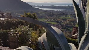 Un paysage côtier offrant une vue sur la mer, une montagne et un jardin avec de grandes plantes.