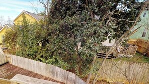 A residential backyard with a wooden deck, a tree, and a wooden fence.