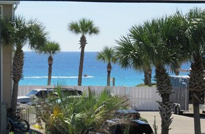 Enjoy ocean views from this beachfront property, surrounded by palm trees and a charming picket fence.