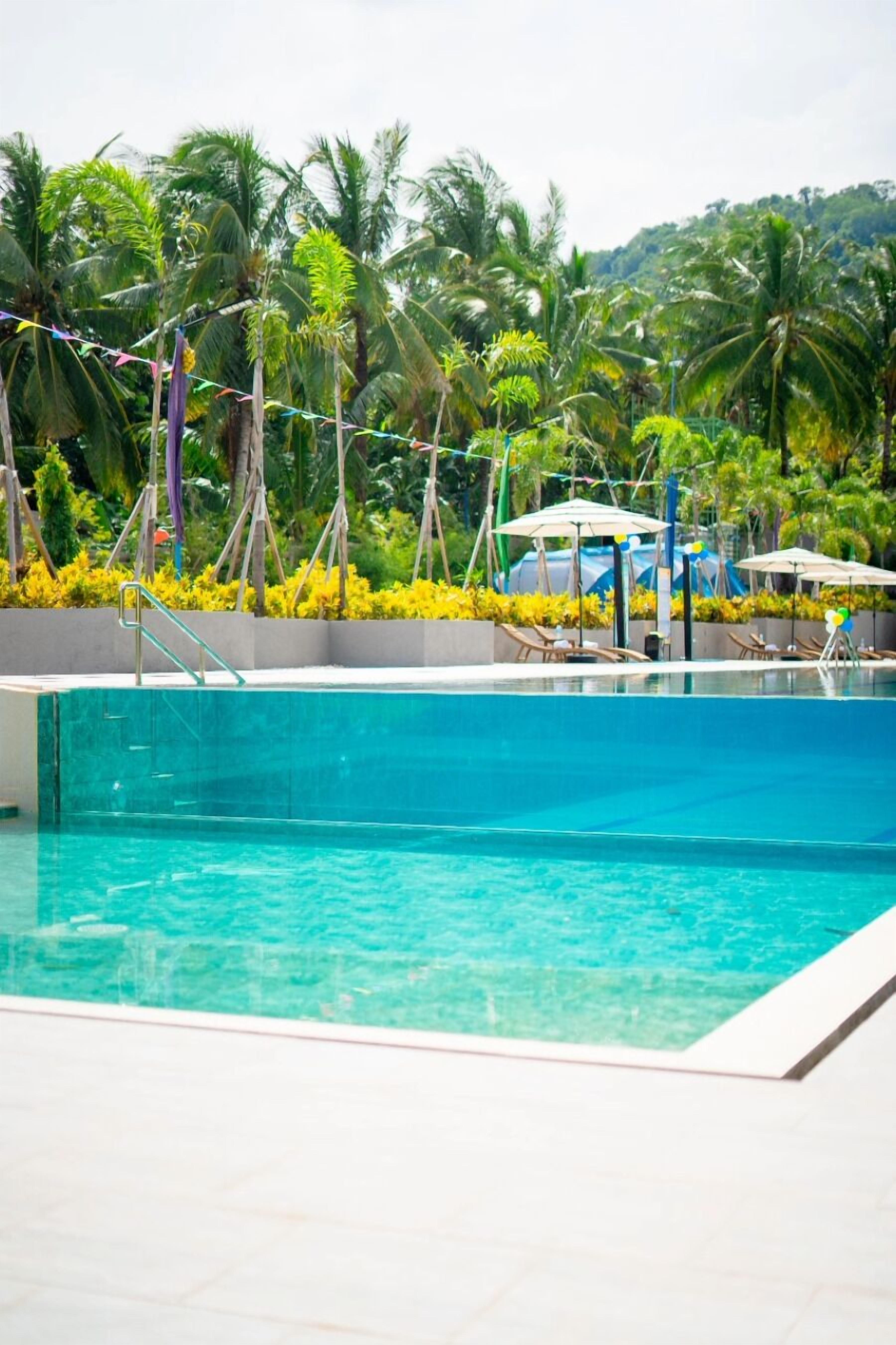 A swimming pool with clear blue water, surrounded by palm trees and yellow flowers.
