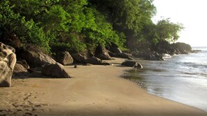 Una playa arenosa con rocas grandes y abundante vegetación verde.