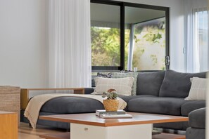 Televisie, een open haard, een dvd-speler en boeken