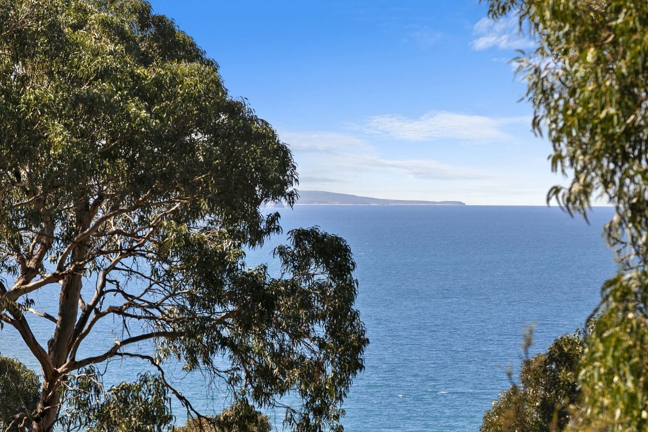 Un paysage côtier avec un arbre au premier plan et une vue sur la mer et la terre au loin.