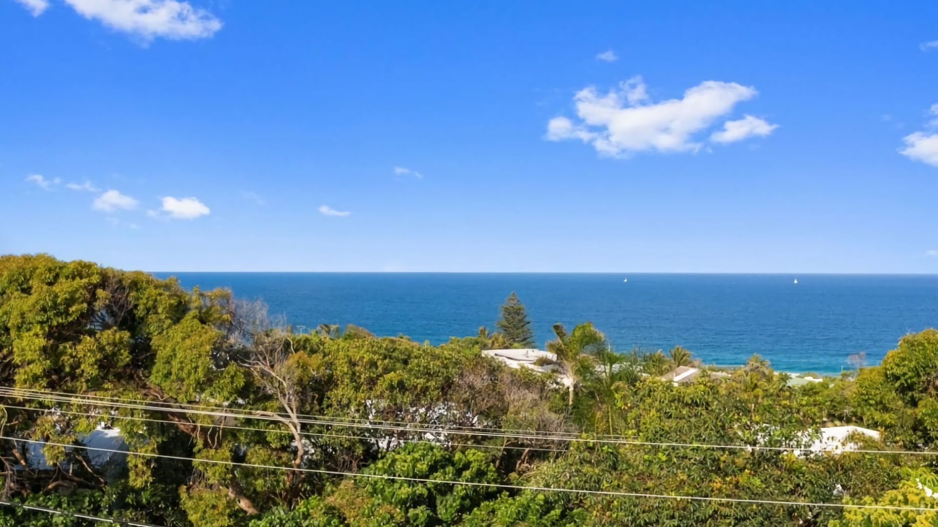 A coastal landscape with dense greenery and a clear view of the ocean.