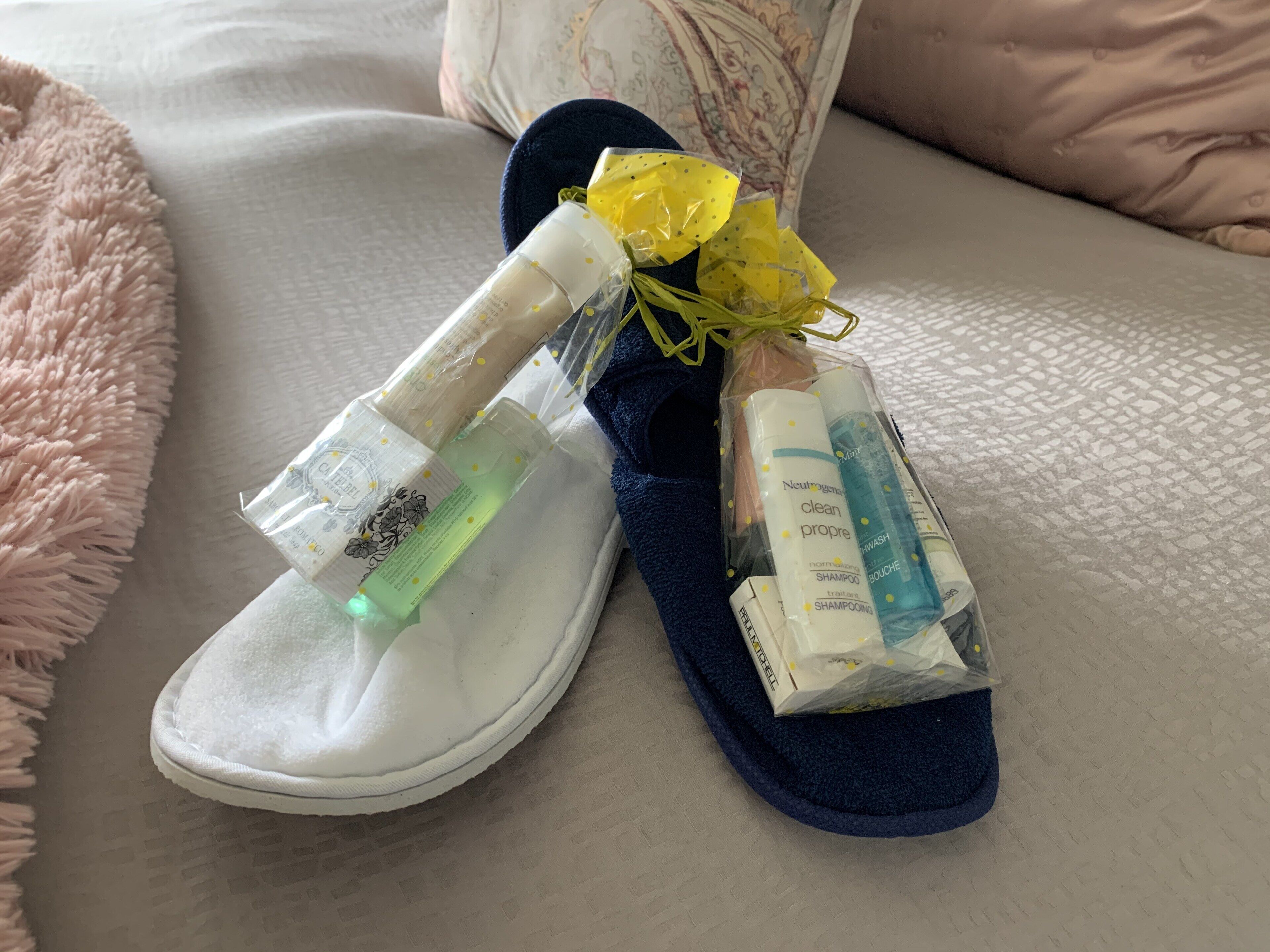 Taste The View: A dream view of the mountains and lake