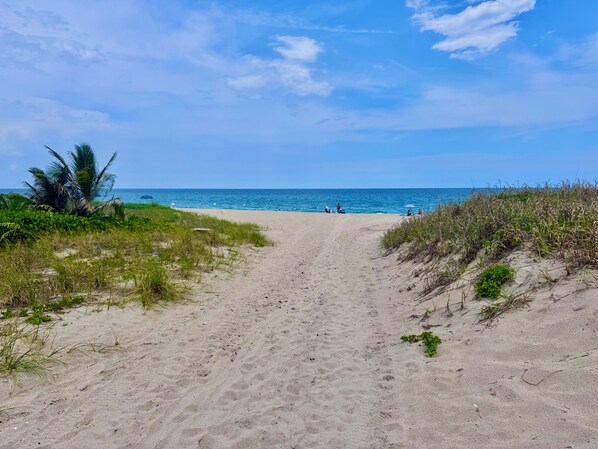 A sandy beach path leading to the ocean with sparse vegetation on either side. - Stay Near Deerfield Beach Pier, Enjoy Our Cozy 1-bedroom Apartment (Deerfield Beach)