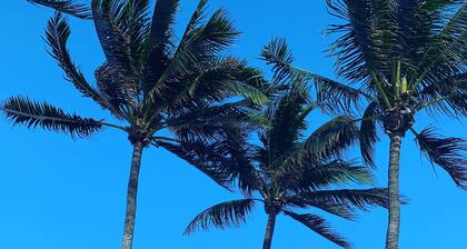 Die Miami bei Cabana Carioca