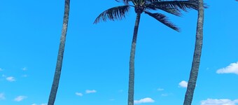 Stay Near Deerfield Beach Pier, Enjoy Our Cozy 1-bedroom Apartment