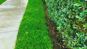 A residential street with a sidewalk, lush green lawn, and a row of houses with a yellow facade and white trim. - Stay Near Deerfield Beach Pier, Enjoy Our Cozy 1-bedroom Apartment (Deerfield Beach)