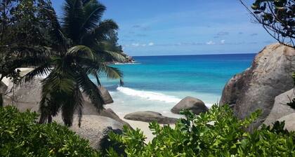 Eden Island Marina Apartment -with Golf Cart, WIFY, Sat TV +Pool