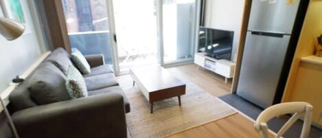 Smart TV, Netflix, DVD player, books