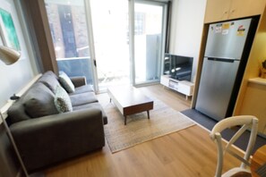 Smart TV, Netflix, DVD player, books