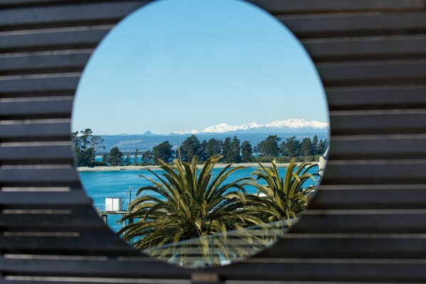 Vista circular de un paisaje costero con palmeras, una playa y montañas nevadas en la distancia.