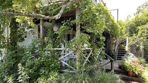 En trädgård med en trätrappa som leder upp till en veranda, omgiven av olika växter och blommor.