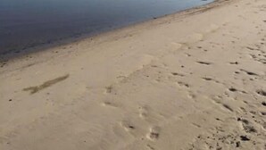 En strand med klar himmel och stilla vatten.