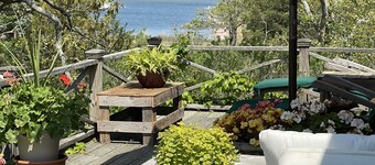 CHARMING WATERFRONT ENGLISH COTTAGE WITH PRIVATE BAY BEACH IN A NATURE PRESERVE