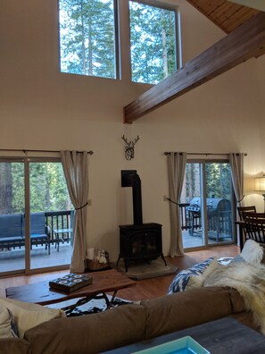 TV, video games, DVD player, video library