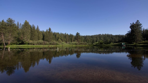 A calm lake with a clear reflection of trees and a dock.