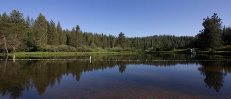 Järvi