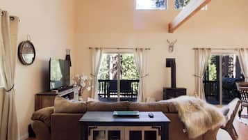 TV, video games, DVD player, video library