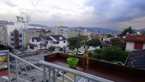 A rooftop terrace with a metal railing, a green bowl, and a bottle of Coca-Cola.